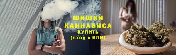 индика Лагань