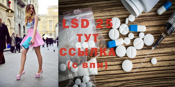 индика Лагань