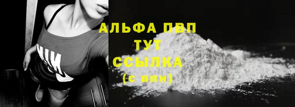 индика Лагань