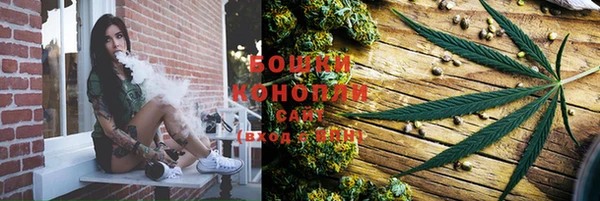 индика Лагань
