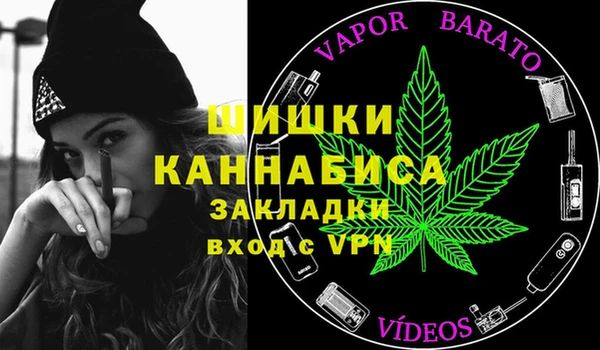 индика Лагань