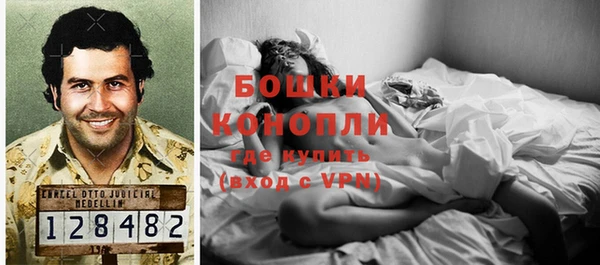 индика Лагань