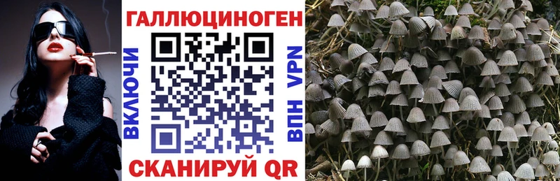 Галлюциногенные грибы ЛСД  Купить  Каргат 
