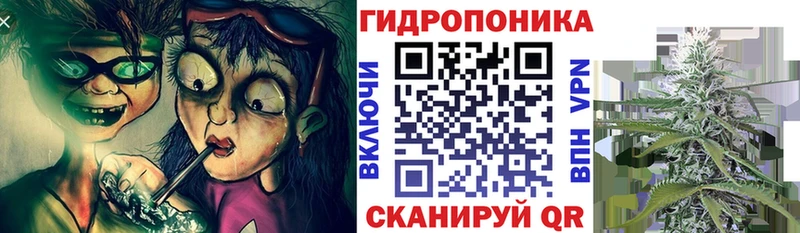Бошки марихуана Ganja Купить где Каргат
